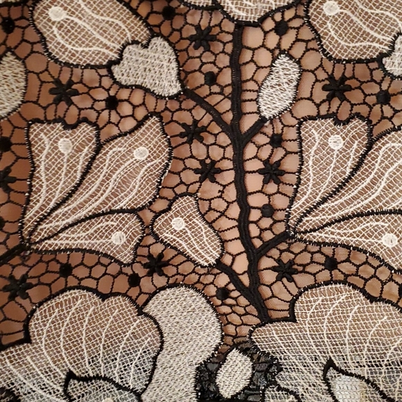 Host Pick BCBG Lace Strapless Knit White Black Nude NWT - Picture 2 of 13